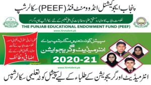 PEEF Scholarship for undergraduate 2023