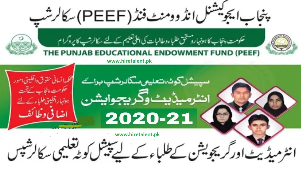 PEEF Scholarship for undergraduate 2023